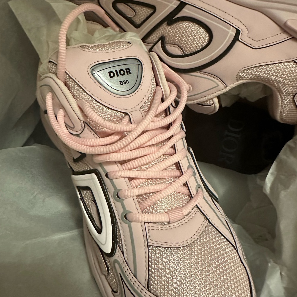 Dior B30 Pink Sneakers